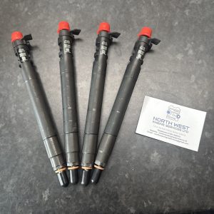 Peugeot Ford Citroen  2.0 HDi Delphi Diesel Injector EMBR00101D 9686191080 X1